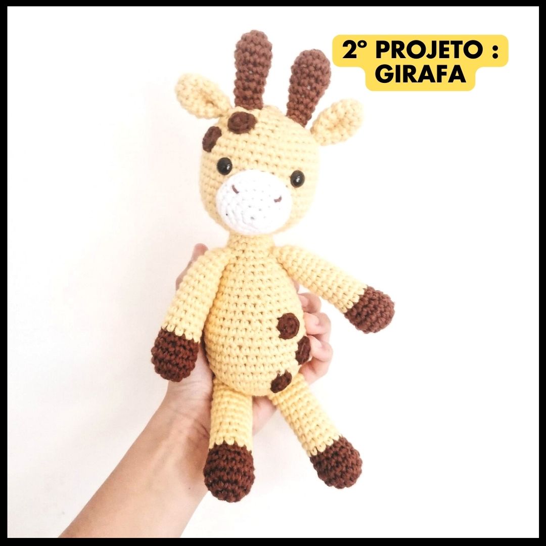 Academia amigurumi🌟Acesso VIP