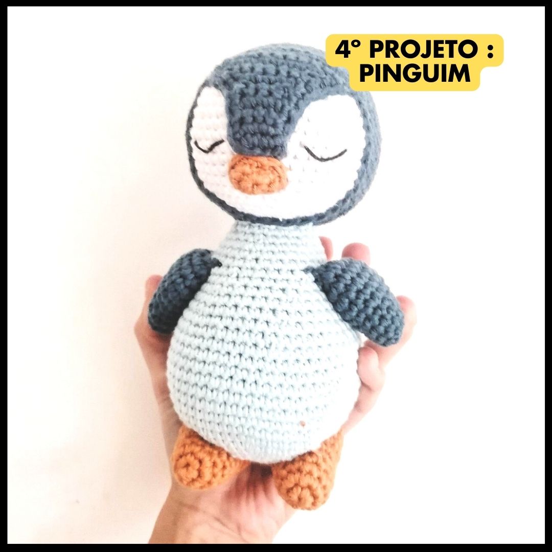 Academia amigurumi🌟Acesso VIP